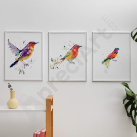 Tropical Bird Wall Art - Digital Wall Art Set Of 3