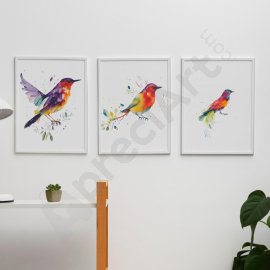 Tropical Bird Wall Art - Wall Art Print Set Of 3