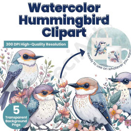 Watercolor Hummingbird Clipart