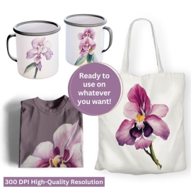 Watercolor Dendrobium Orchid Clipart