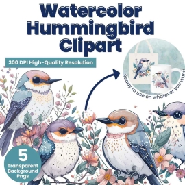 Watercolor Hummingbird Clipart