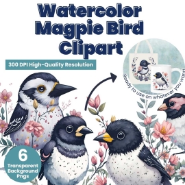 Watercolor Magpie Bird Clipart