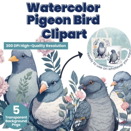 Watercolor Pigeon Bird Clipart