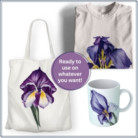 Watercolor Wildflower Purple Clipart